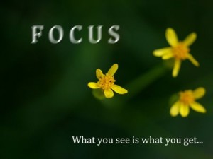 Where is your Focus?